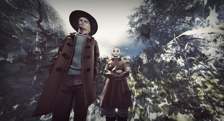 Bunnybaby_FotorBottomUP