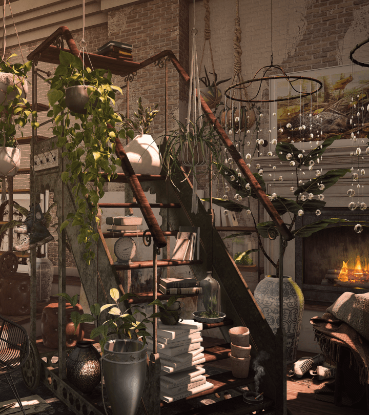 dad ladder19pslr crop1