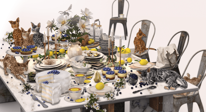 CattyCakesFINAL copy