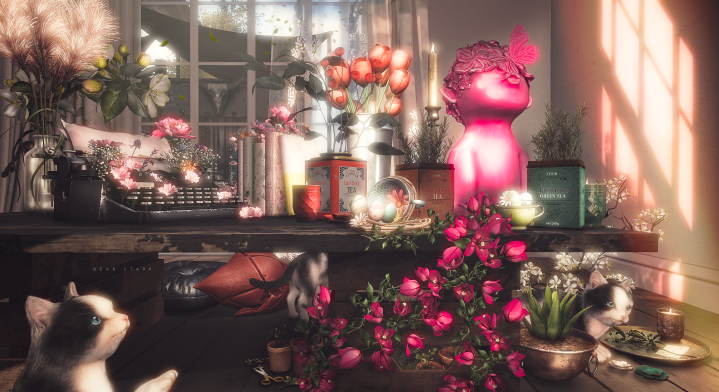 SERENITY_STYLE_FINAL copy